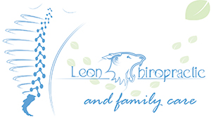 logo dr leon